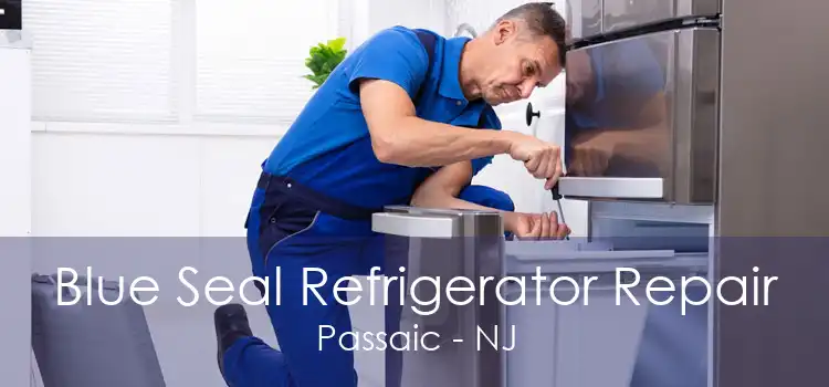 Blue Seal Refrigerator Repair Passaic - NJ